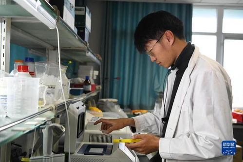 科技育種路 追夢不止步 生物基材料技術研發的探索與未來