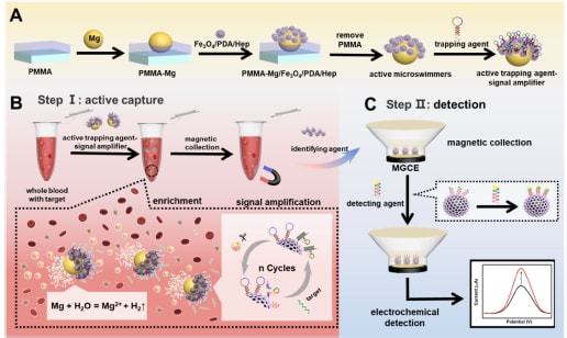 南京師范大學在生物基材料技術驅動下，于生物醫用微納米機器人領域取得系列重要突破