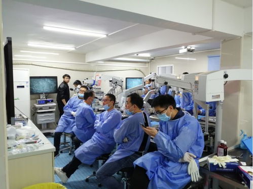 科技賦能，精進醫技——暨南大學附屬第一醫院第八屆顱腦顯微外科基本技能培訓班與生物基材料技術研發的融合探索