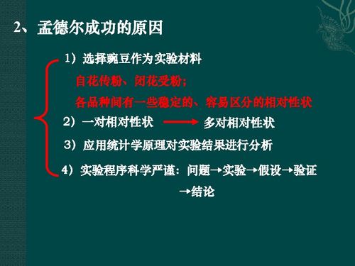 浙江省余姚中學(xué)生物浙科版必修1復(fù)習(xí)課件 遺傳的基本規(guī)律與生物基材料技術(shù)研發(fā)