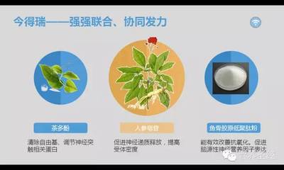 腦健康新紀(jì)元 今得瑞以生物基材料技術(shù)，守護(hù)幸福生活之源